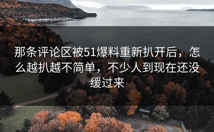 那条评论区被51爆料重新扒开后，怎么越扒越不简单，不少人到现在还没缓过来